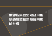 俄罗斯某些宏观经济指标的展望在新预算周期前升级